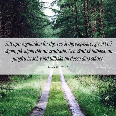 Picture 06 - Jeremia 31:21 SV1917 - Sätt upp vägmärken för dig, res åt dig - Bible Verse Picture