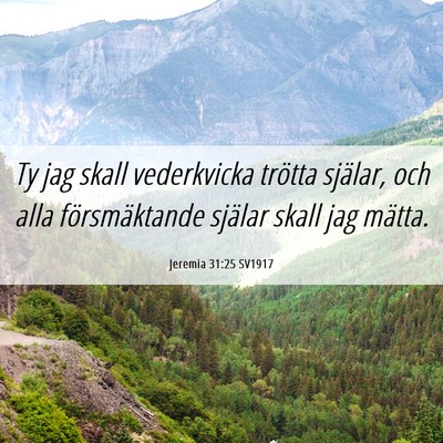 Picture 06 - Jeremia 31:25 SV1917 - Ty jag skall vederkvicka trötta själar, och - Bible Verse Picture