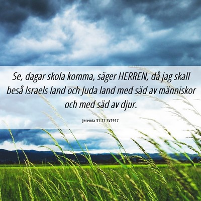 Picture 06 - Jeremia 31:27 SV1917 - Se, dagar skola komma, säger HERREN, då jag - Bible Verse Picture