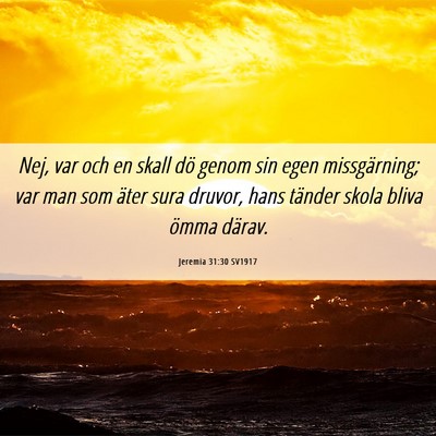 Picture 06 - Jeremia 31:30 SV1917 - Nej, var och en skall dö genom sin egen - Bible Verse Picture