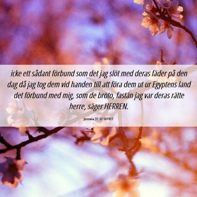 Picture 06 - Jeremia 31:32 SV1917 - icke ett sådant förbund som det jag slöt med - Bible Verse Picture