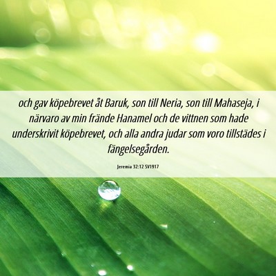 Picture 06 - Jeremia 32:12 SV1917 - och gav köpebrevet åt Baruk, son till Neria, - Bible Verse Picture