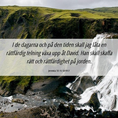 Picture 06 - Jeremia 33:15 SV1917 - I de dagarna och på den tiden skall jag låta en - Bible Verse Picture