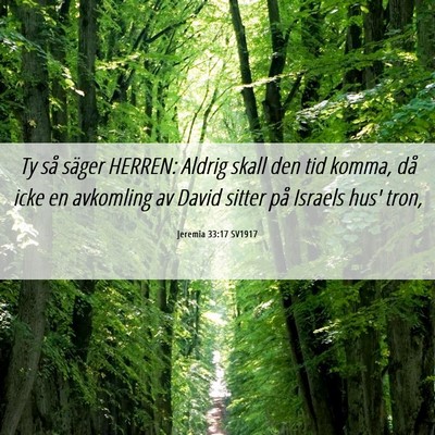 Picture 06 - Jeremia 33:17 SV1917 - Ty så säger HERREN: Aldrig skall den tid komma, - Bible Verse Picture