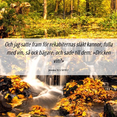 Picture 06 - Jeremia 35:5 SV1917 - Och jag satte fram för rekabiternas släkt - Bible Verse Picture