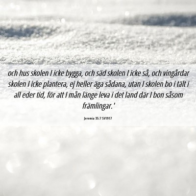 Picture 06 - Jeremia 35:7 SV1917 - och hus skolen I icke bygga, och säd skolen I - Bible Verse Picture