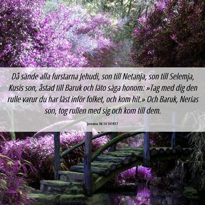 Picture 06 - Jeremia 36:14 SV1917 - Då sände alla furstarna Jehudi, son till - Bible Verse Picture
