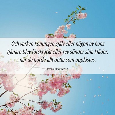 Picture 06 - Jeremia 36:24 SV1917 - Och varken konungen själv eller någon av hans - Bible Verse Picture
