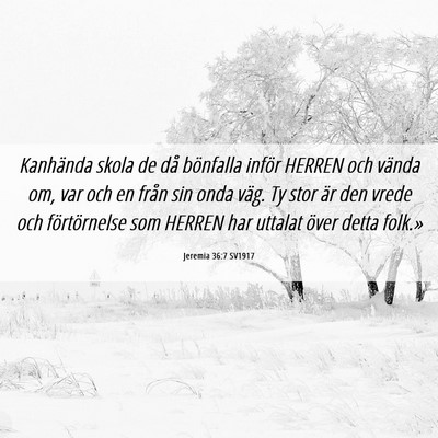 Picture 06 - Jeremia 36:7 SV1917 - Kanhända skola de då bönfalla inför HERREN - Bible Verse Picture