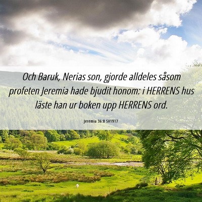 Picture 06 - Jeremia 36:8 SV1917 - Och Baruk, Nerias son, gjorde alldeles såsom - Bible Verse Picture