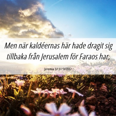 Picture 06 - Jeremia 37:11 SV1917 - Men när kaldéernas här hade dragit sig - Bible Verse Picture