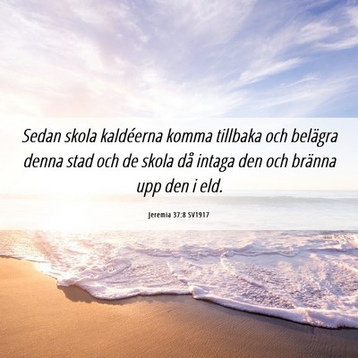 Picture 06 - Jeremia 37:8 SV1917 - Sedan skola kaldéerna komma tillbaka och - Bible Verse Picture