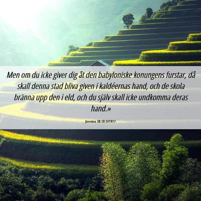 Picture 06 - Jeremia 38:18 SV1917 - Men om du icke giver dig åt den babyloniske - Bible Verse Picture