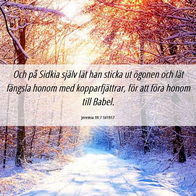 Picture 06 - Jeremia 39:7 SV1917 - Och på Sidkia själv lät han sticka ut ögonen - Bible Verse Picture