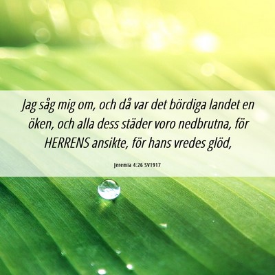 Picture 06 - Jeremia 4:26 SV1917 - Jag såg mig om, och då var det bördiga landet - Bible Verse Picture