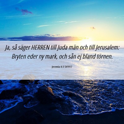 Picture 06 - Jeremia 4:3 SV1917 - Ja, så säger HERREN till Juda män och till - Bible Verse Picture