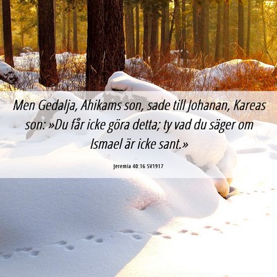 Picture 06 - Jeremia 40:16 SV1917 - Men Gedalja, Ahikams son, sade till Johanan, - Bible Verse Picture