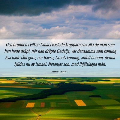 Picture 06 - Jeremia 41:9 SV1917 - Och brunnen i vilken Ismael kastade kropparna av - Bible Verse Picture