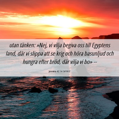 Picture 06 - Jeremia 42:14 SV1917 - utan tänken: »Nej, vi vilja begiva oss till - Bible Verse Picture