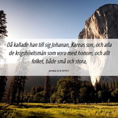 Picture 06 - Jeremia 42:8 SV1917 - Då kallade han till sig Johanan, Kareas son, och - Bible Verse Picture