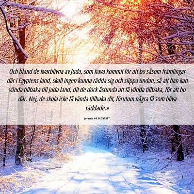 Picture 06 - Jeremia 44:14 SV1917 - Och bland de kvarblivna av Juda, som hava kommit - Bible Verse Picture