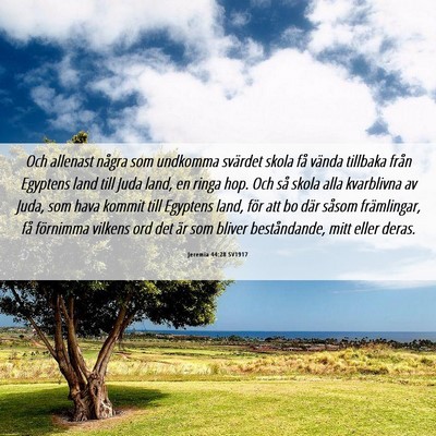 Picture 06 - Jeremia 44:28 SV1917 - Och allenast några som undkomma svärdet skola - Bible Verse Picture