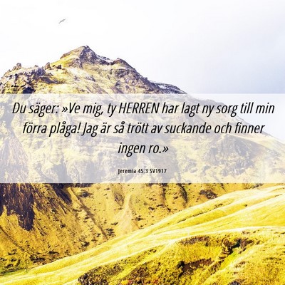Picture 06 - Jeremia 45:3 SV1917 - Du säger: »Ve mig, ty HERREN har lagt ny sorg - Bible Verse Picture