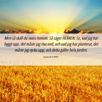 Picture 06 - Jeremia 45:4 SV1917 - Men så skall du svara honom: Så säger HERREN: - Bible Verse Picture