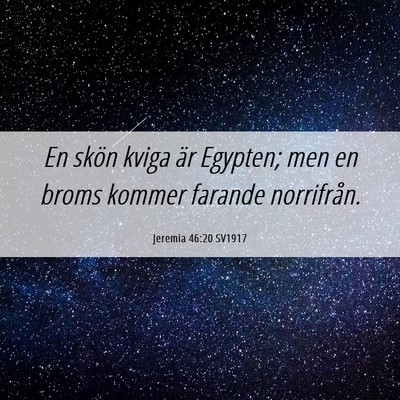 Picture 06 - Jeremia 46:20 SV1917 - En skön kviga är Egypten; men en broms kommer - Bible Verse Picture