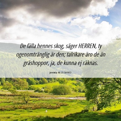Picture 06 - Jeremia 46:23 SV1917 - De fälla hennes skog, säger HERREN, ty - Bible Verse Picture