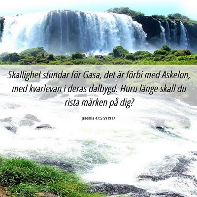 Picture 06 - Jeremia 47:5 SV1917 - Skallighet stundar för Gasa, det är förbi med - Bible Verse Picture
