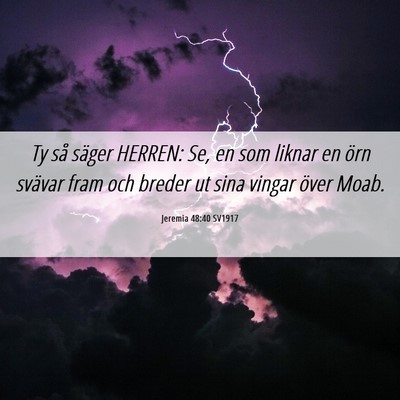 Picture 06 - Jeremia 48:40 SV1917 - Ty så säger HERREN: Se, en som liknar en örn - Bible Verse Picture