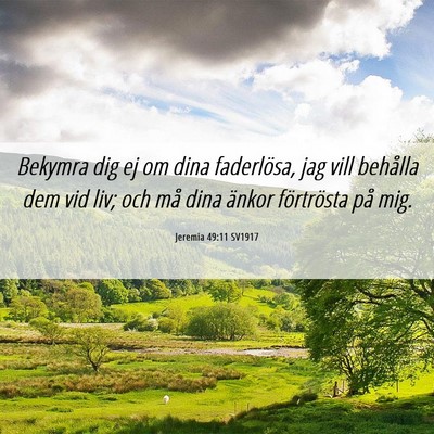 Picture 06 - Jeremia 49:11 SV1917 - Bekymra dig ej om dina faderlösa, jag vill - Bible Verse Picture