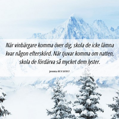 Picture 06 - Jeremia 49:9 SV1917 - När vinbärgare komma över dig, skola de icke - Bible Verse Picture