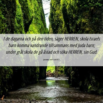 Picture 06 - Jeremia 50:4 SV1917 - I de dagarna och på den tiden, säger HERREN, - Bible Verse Picture