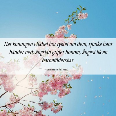 Picture 06 - Jeremia 50:43 SV1917 - När konungen i Babel hör ryktet om dem, sjunka - Bible Verse Picture