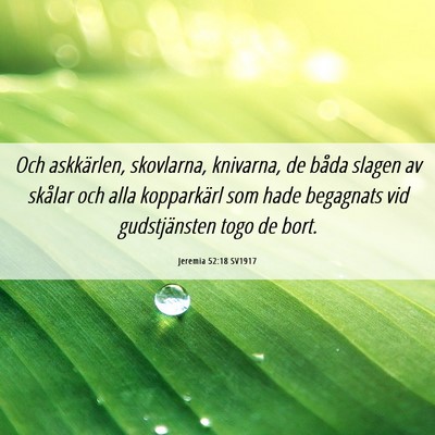 Picture 06 - Jeremia 52:18 SV1917 - Och askkärlen, skovlarna, knivarna, de båda - Bible Verse Picture
