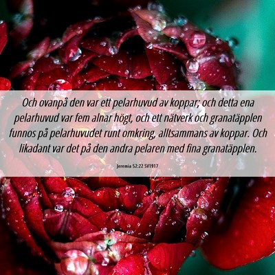 Picture 06 - Jeremia 52:22 SV1917 - Och ovanpå den var ett pelarhuvud av koppar; och - Bible Verse Picture