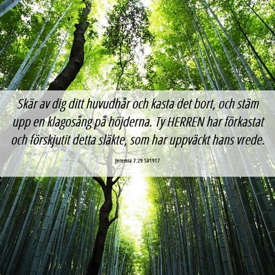 Picture 06 - Jeremia 7:29 SV1917 - Skär av dig ditt huvudhår och kasta det bort, - Bible Verse Picture