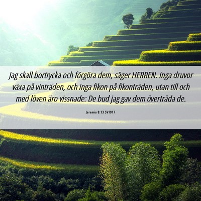 Picture 06 - Jeremia 8:13 SV1917 - Jag skall bortrycka och förgöra dem, säger - Bible Verse Picture