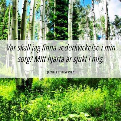 Picture 06 - Jeremia 8:18 SV1917 - Var skall jag finna vederkvickelse i min sorg? - Bible Verse Picture