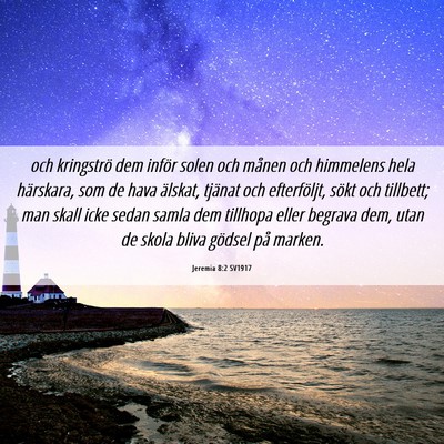 Picture 06 - Jeremia 8:2 SV1917 - och kringströ dem inför solen och månen och - Bible Verse Picture