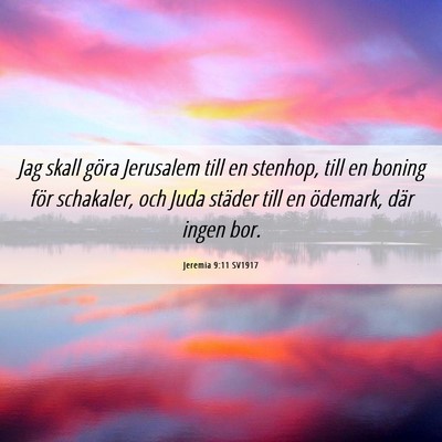 Picture 06 - Jeremia 9:11 SV1917 - Jag skall göra Jerusalem till en stenhop, till - Bible Verse Picture