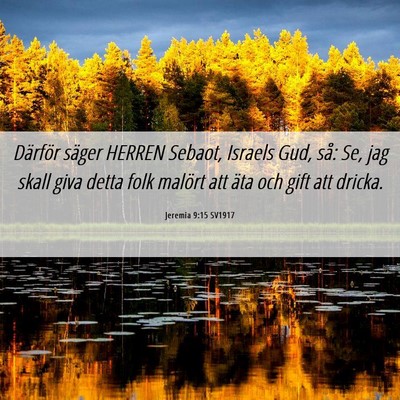 Picture 06 - Jeremia 9:15 SV1917 - Därför säger HERREN Sebaot, Israels Gud, så: - Bible Verse Picture