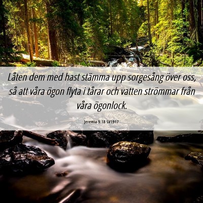 Picture 06 - Jeremia 9:18 SV1917 - Låten dem med hast stämma upp sorgesång över - Bible Verse Picture