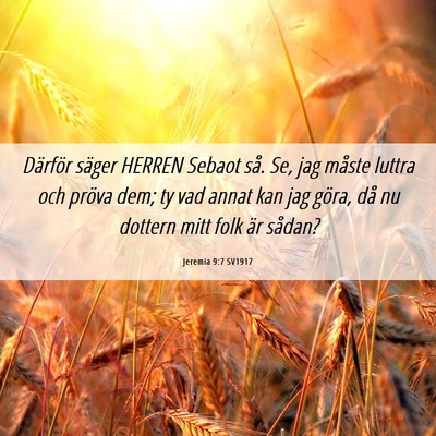 Picture 06 - Jeremia 9:7 SV1917 - Därför säger HERREN Sebaot så. Se, jag måste - Bible Verse Picture