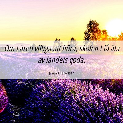 Picture 06 - Jesaja 1:19 SV1917 - Om I ären villiga att höra, skolen I få äta - Bible Verse Picture