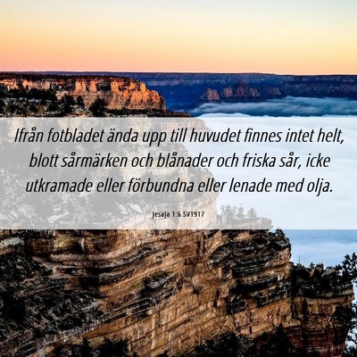 Picture 06 - Jesaja 1:6 SV1917 - Ifrån fotbladet ända upp till huvudet finnes - Bible Verse Picture