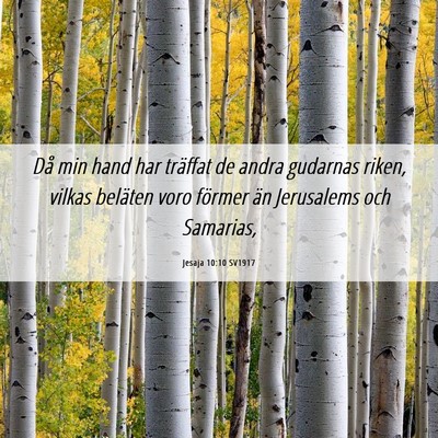 Picture 06 - Jesaja 10:10 SV1917 - Då min hand har träffat de andra gudarnas - Bible Verse Picture