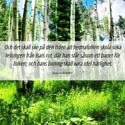 Picture 06 - Jesaja 11:10 SV1917 - Och det skall ske på den tiden att hednafolken - Bible Verse Picture